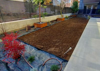realizzazione giardino condominiale