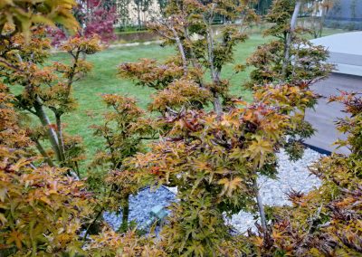 giardino sinuoso dettaglio piante